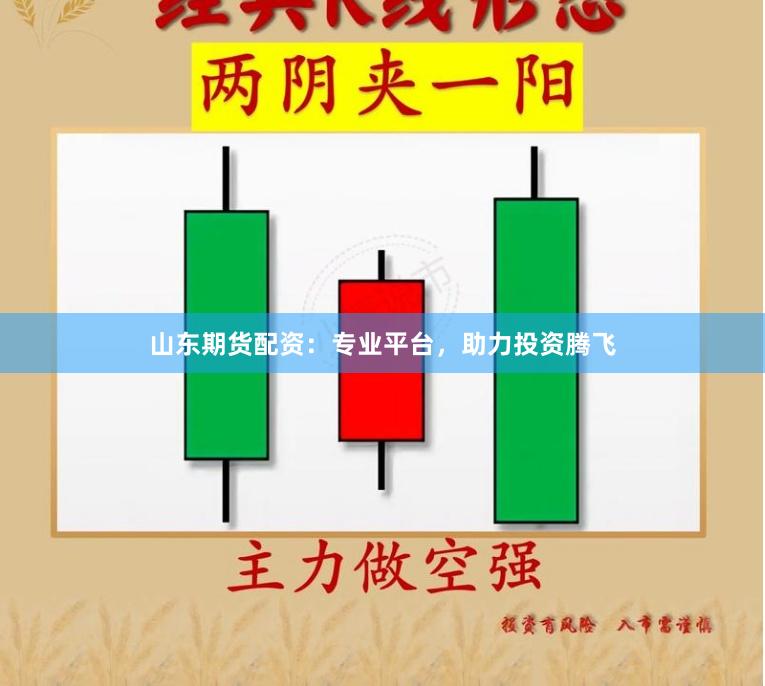 山东期货配资：专业平台，助力投资腾飞