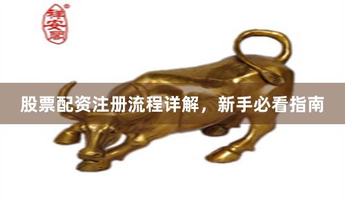 股票配资注册流程详解，新手必看指南