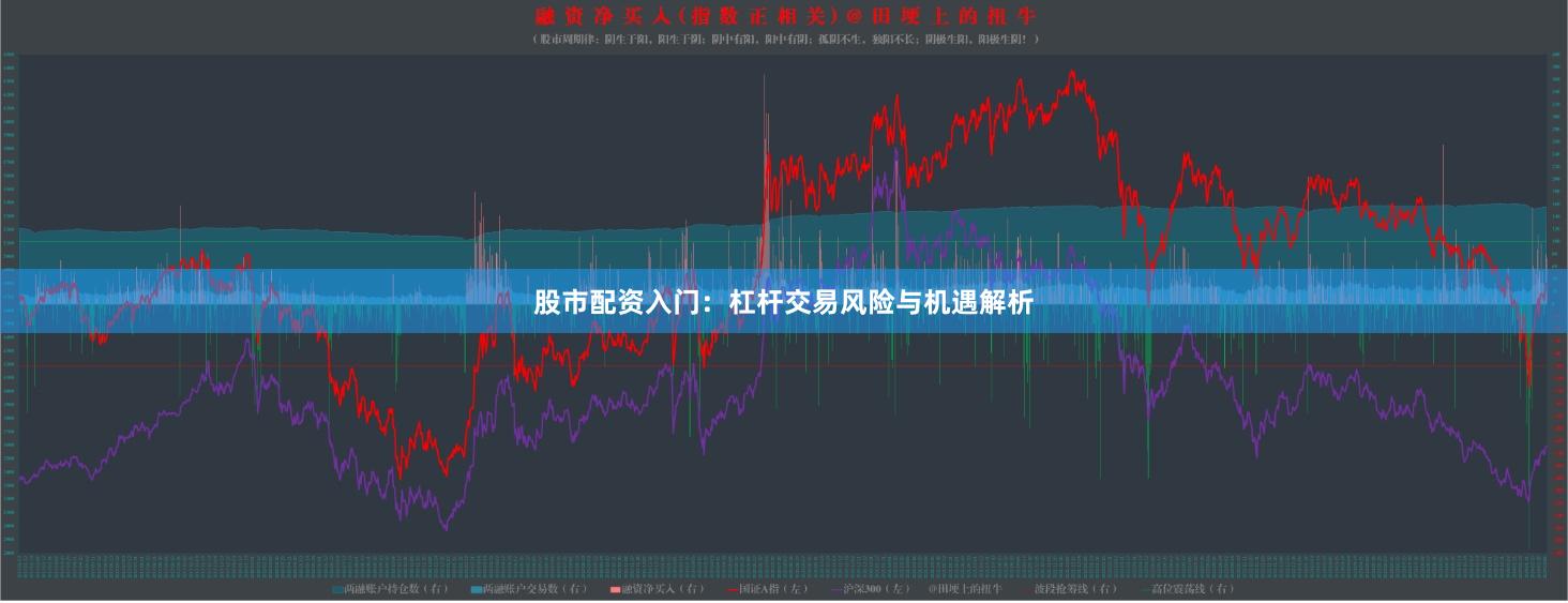 股市配资入门：杠杆交易风险与机遇解析