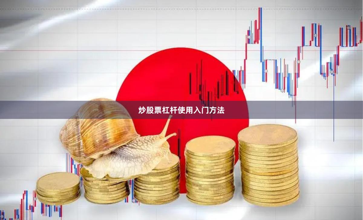 炒股票杠杆使用入门方法
